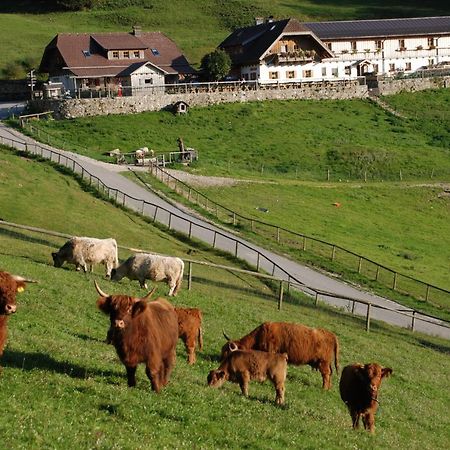 Ferienwohnung Hochsteinalm Traunkirchen Exteriör bild