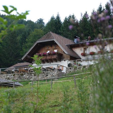 Ferienwohnung Hochsteinalm Traunkirchen Exteriör bild
