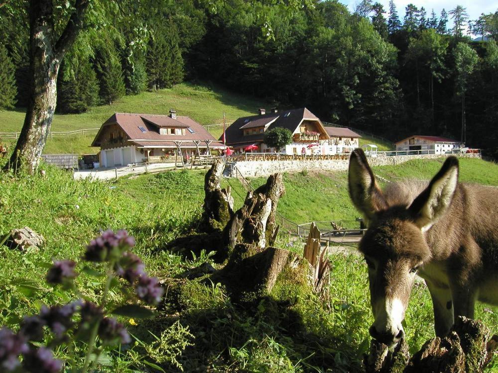 Ferienwohnung Hochsteinalm Traunkirchen Exteriör bild