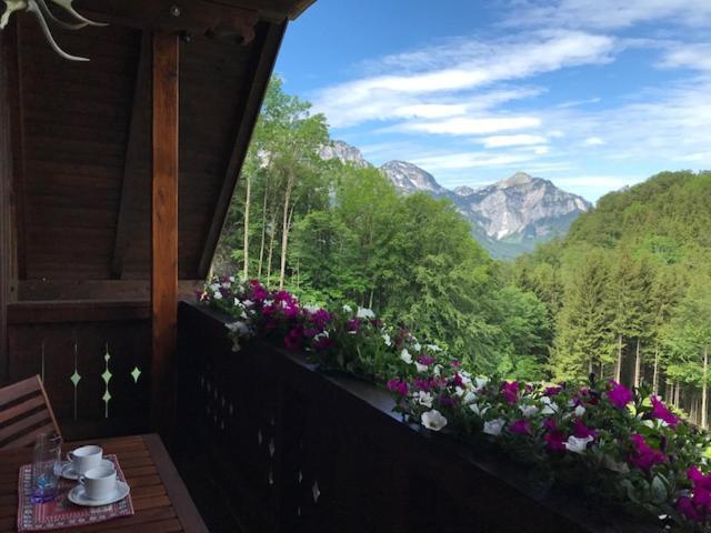 Ferienwohnung Hochsteinalm Traunkirchen Exteriör bild