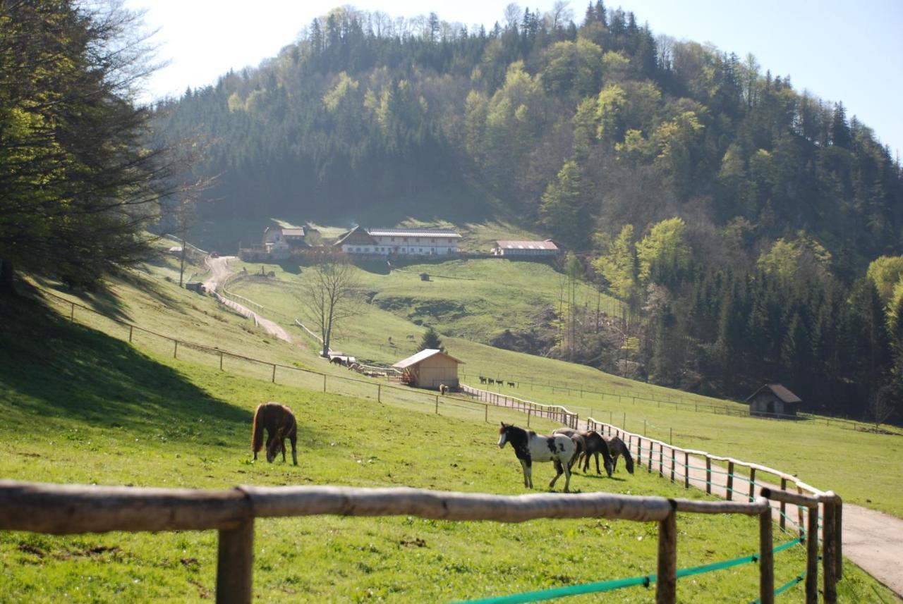 Ferienwohnung Hochsteinalm Traunkirchen Exteriör bild
